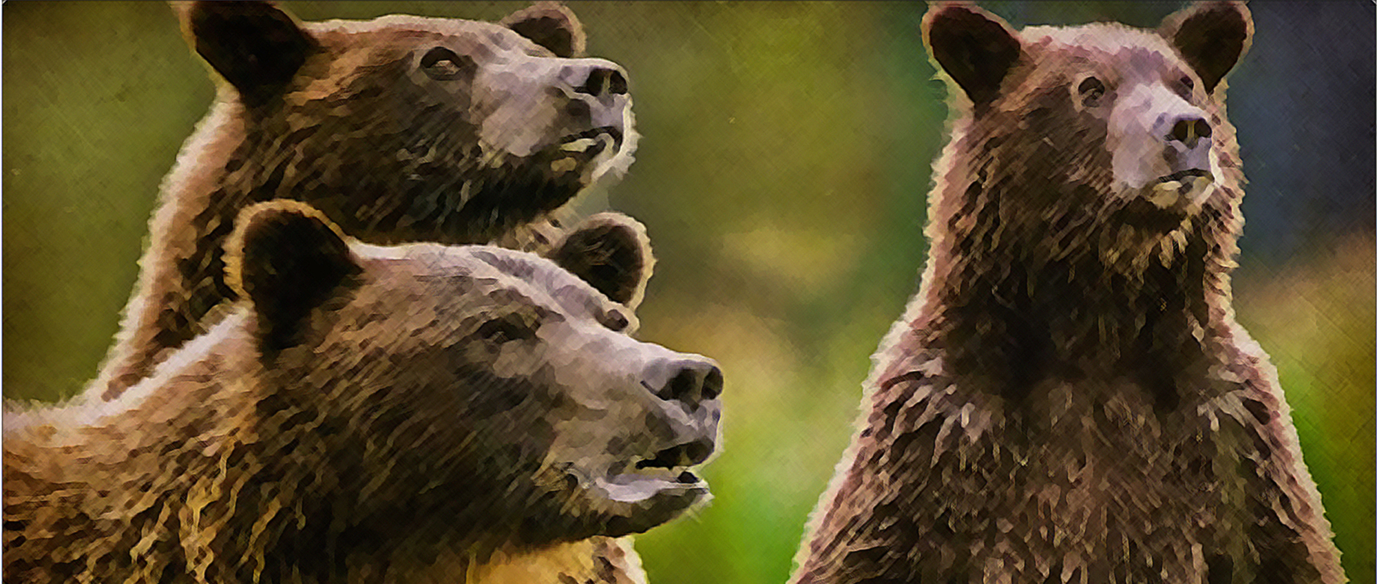 Grizzlies 2